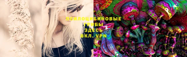 наркотики Новозыбков